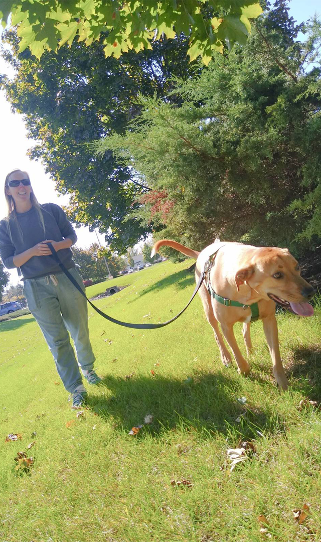 Leigh The Paw Sitter walking a dog in Stow Ohio